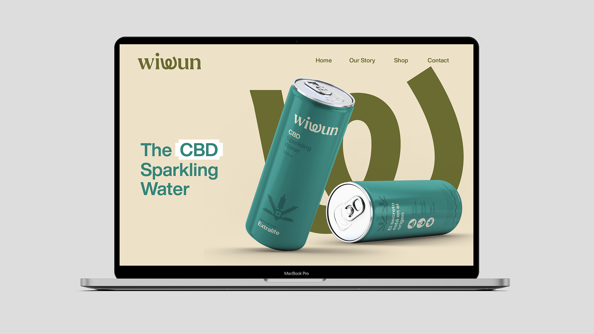 wiwun-web-design